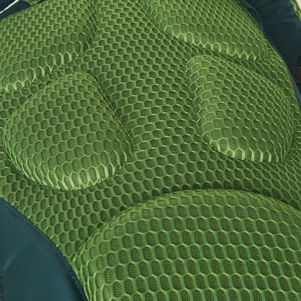Kelty Redtail 27L Backpack | Green